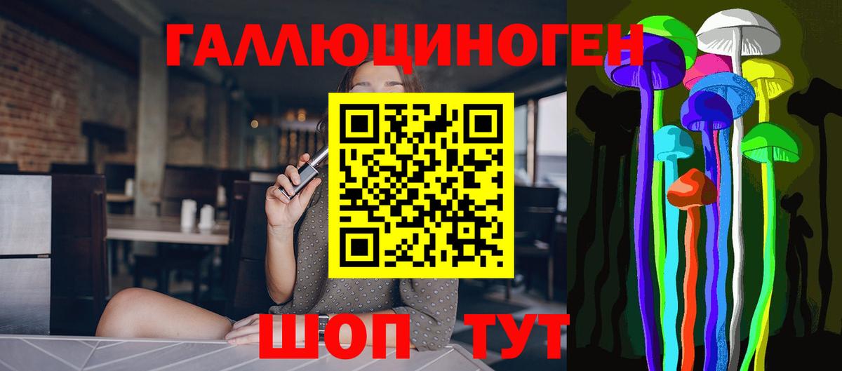 Псилоцибиновые грибы Psilocybe Сатка